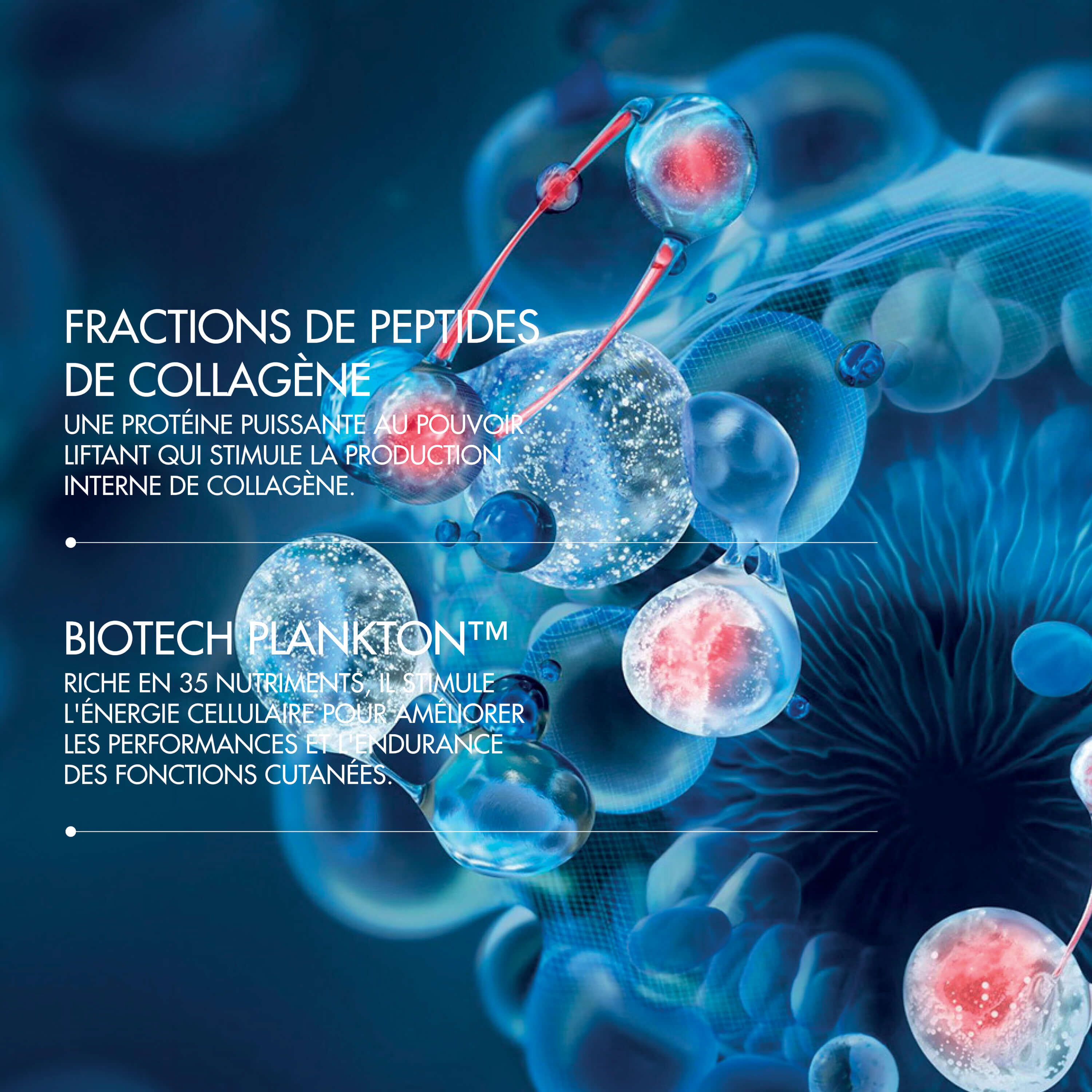 Blue Peptides Uplift Creme Riche